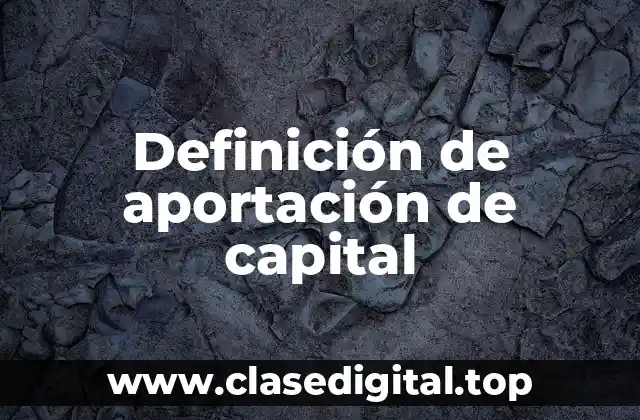 Definición de aportación de capital