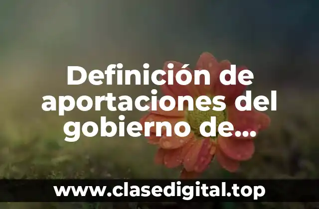 Definición de aportaciones del gobierno de Venustiano Carranza