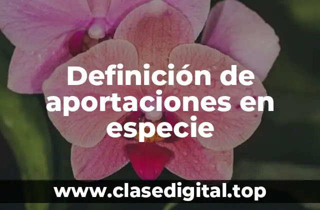 Definición de aportaciones en especie