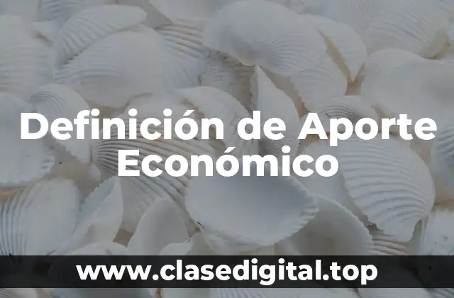 Definición de Aporte Económico