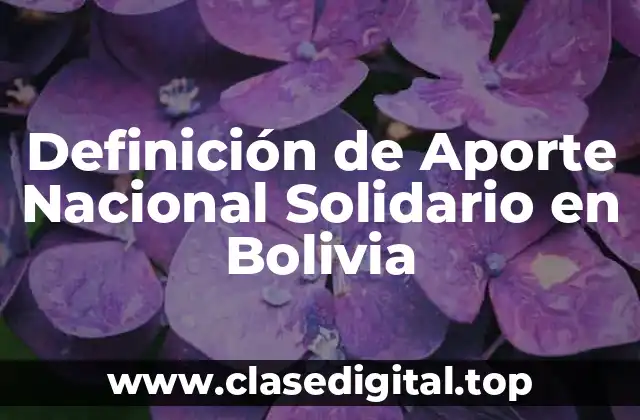 Definición de Aporte Nacional Solidario en Bolivia