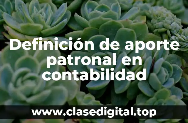 Definición de aporte patronal en contabilidad