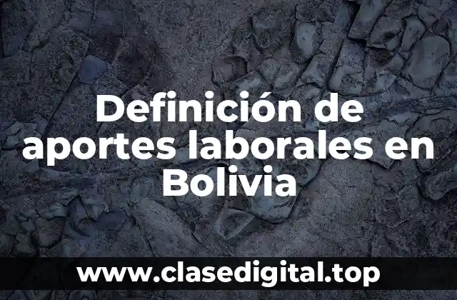 Definición técnica de aportes laborales en Bolivia
