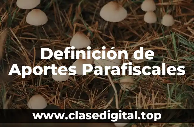 Definición de Aportes Parafiscales
