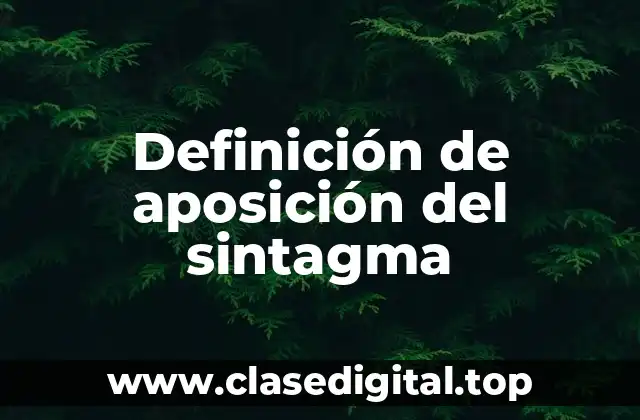 Definición de aposición del sintagma