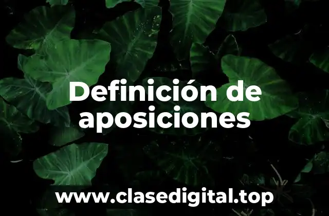 Definición de aposiciones