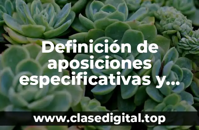 Definición de aposiciones especificativas y explicativas