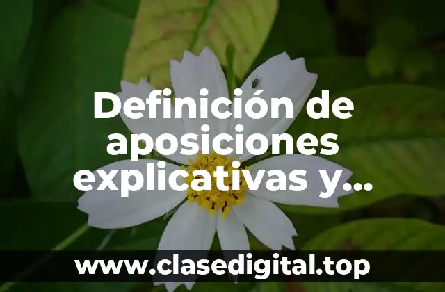 Definición de aposiciones explicativas y especificativas