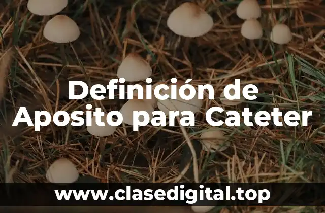 Definición de Aposito para Cateter