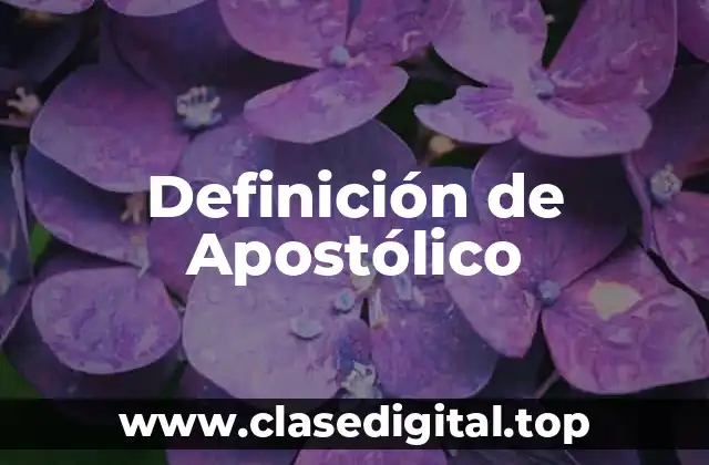 Definición de Apostólico