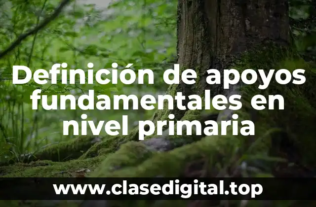 Definición de apoyos fundamentales en nivel primaria