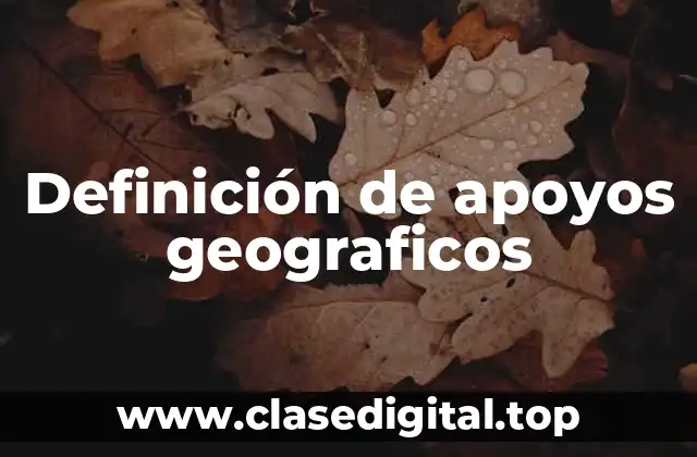 Ejemplos de apoyos geográficos