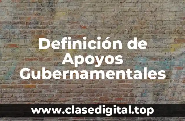 Definición de Apoyos Gubernamentales