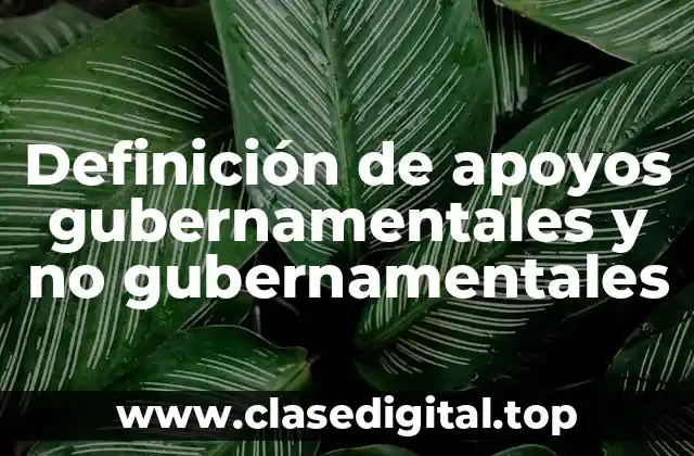 Definición de apoyos gubernamentales y no gubernamentales