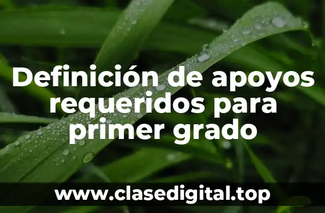 Definición de apoyos requeridos para primer grado