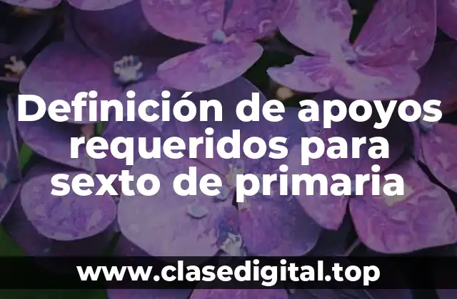 Definición de apoyos requeridos para sexto de primaria