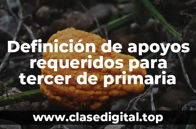 Definición de apoyos requeridos para tercer de primaria