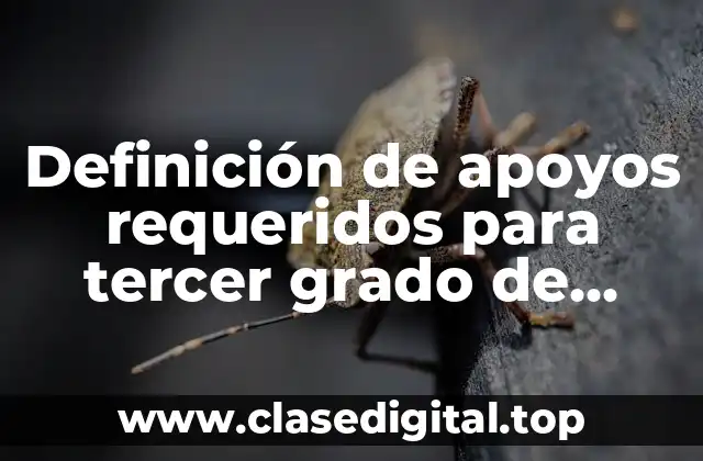 Definición de apoyos requeridos para tercer grado de prescolar