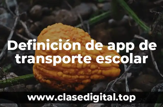 Definición de app de transporte escolar
