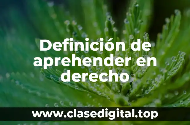 Definición de aprehender en derecho