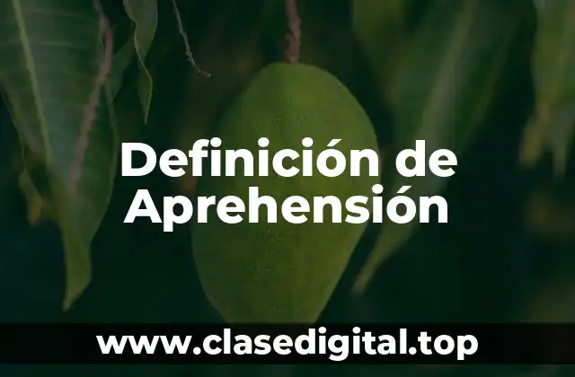 Definición de Aprehensión