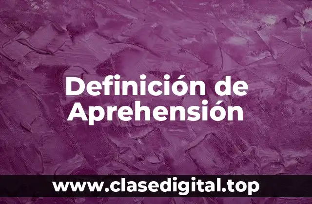 Definición de Aprehensión