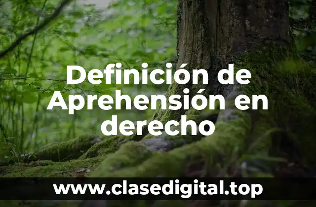 Definición técnica de Aprehensión en derecho