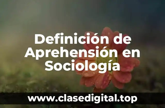 Definición de Aprehensión en Sociología
