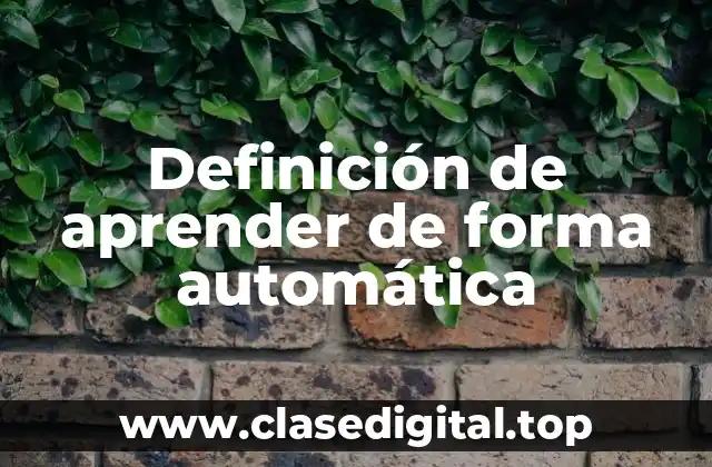 Definición de aprender de forma automática