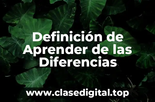 Definición de Aprender de las Diferencias