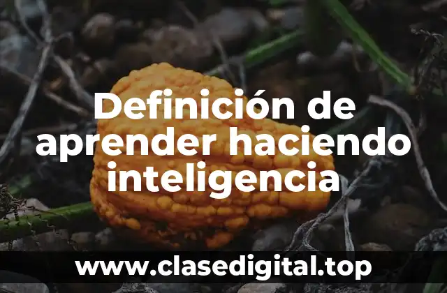 Definición de aprender haciendo inteligencia