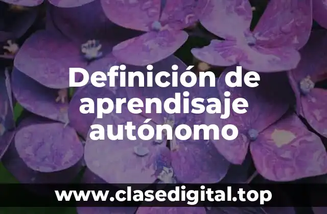 Definición de aprendisaje autónomo