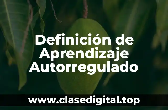 Definición de Aprendizaje Autorregulado