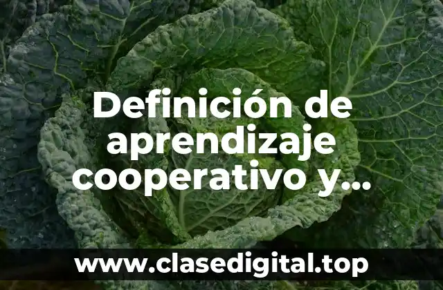 Definición técnica de aprendizaje cooperativo y colaborativo