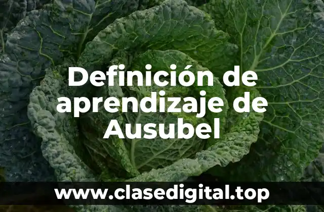 Definición técnica del aprendizaje de Ausubel