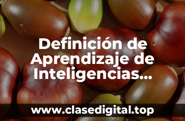 Definición de Aprendizaje de Inteligencias Múltiples (PPT)