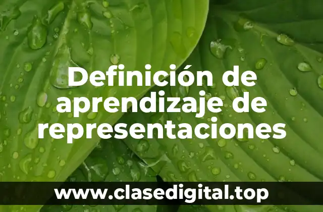 Definición de aprendizaje de representaciones