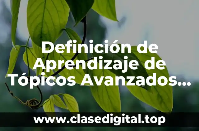 Definición de Aprendizaje de Tópicos Avanzados de Programación