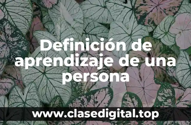 Definición de aprendizaje de una persona