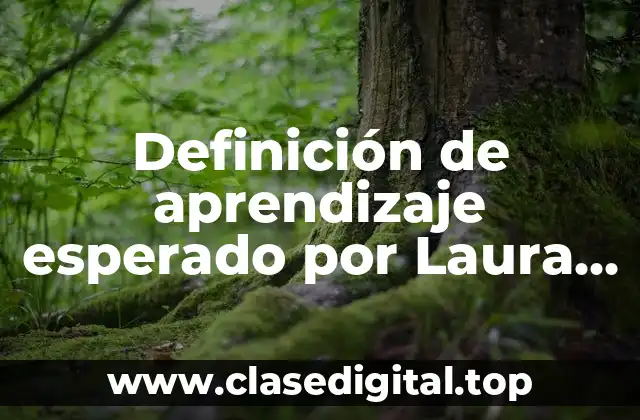 Definición de aprendizaje esperado por Laura Frade