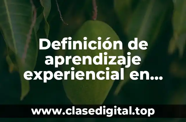 Definición de aprendizaje experiencial en medicina