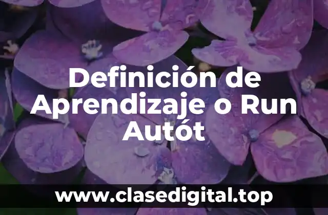 Definición de Aprendizaje o Run Autót