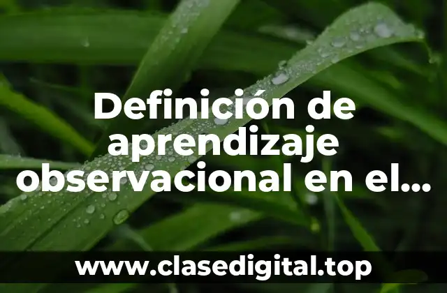 Definición de aprendizaje observacional en el aula