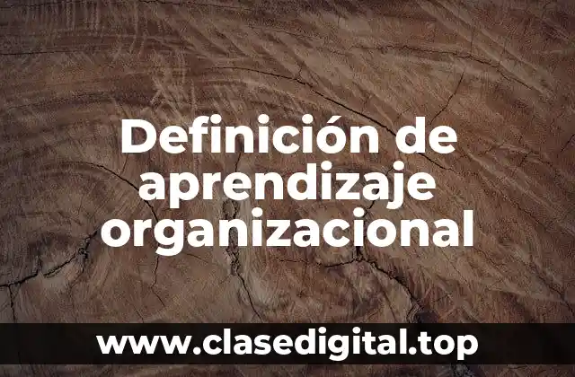 Definición de aprendizaje organizacional