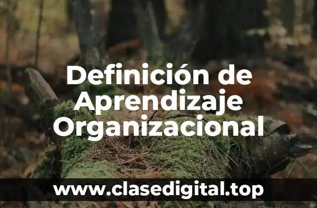 Definición técnica de Aprendizaje Organizacional