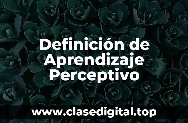 Ejemplos de Aprendizaje Perceptivo