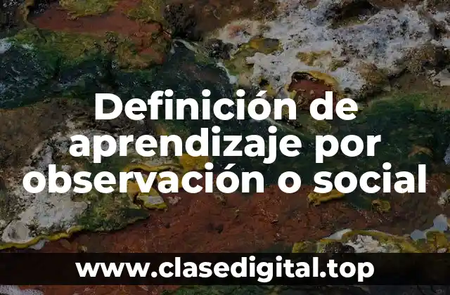 Definición de aprendizaje por observación o social