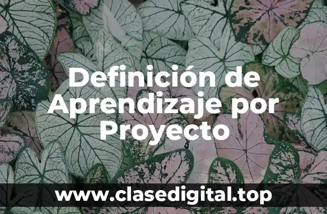 Definición de Aprendizaje por Proyecto