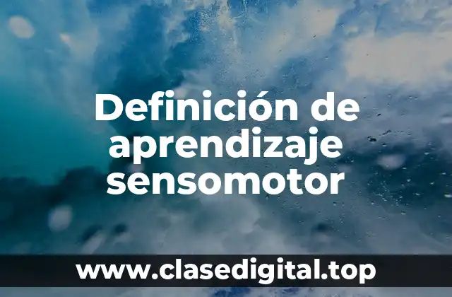 Definición de aprendizaje sensomotor
