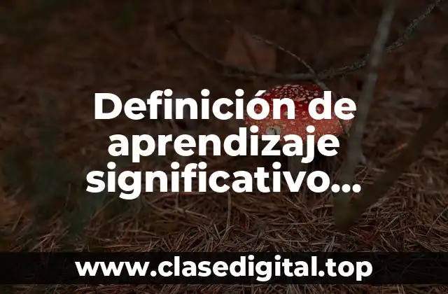 Definición de aprendizaje significativo empresarial